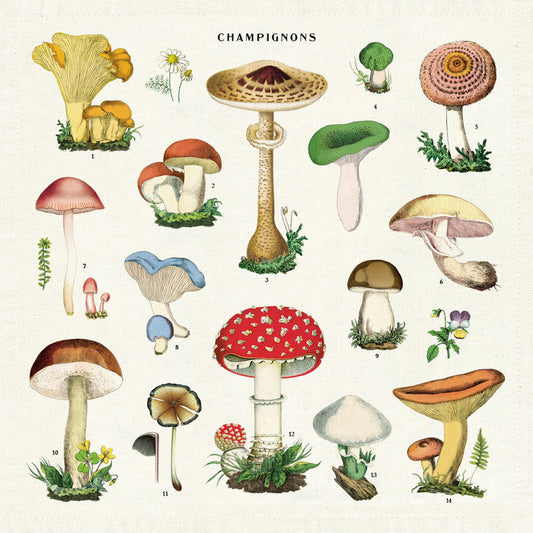 A set of four cloth napkins with a mushroom theme printed in various colors on each napkin, presented on a white background.