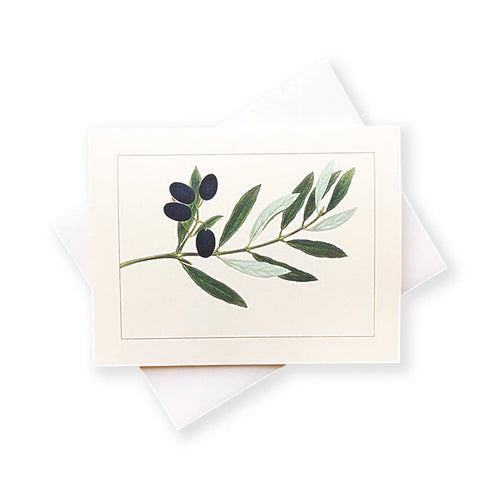 Olive Branch Cards - Boxed Set