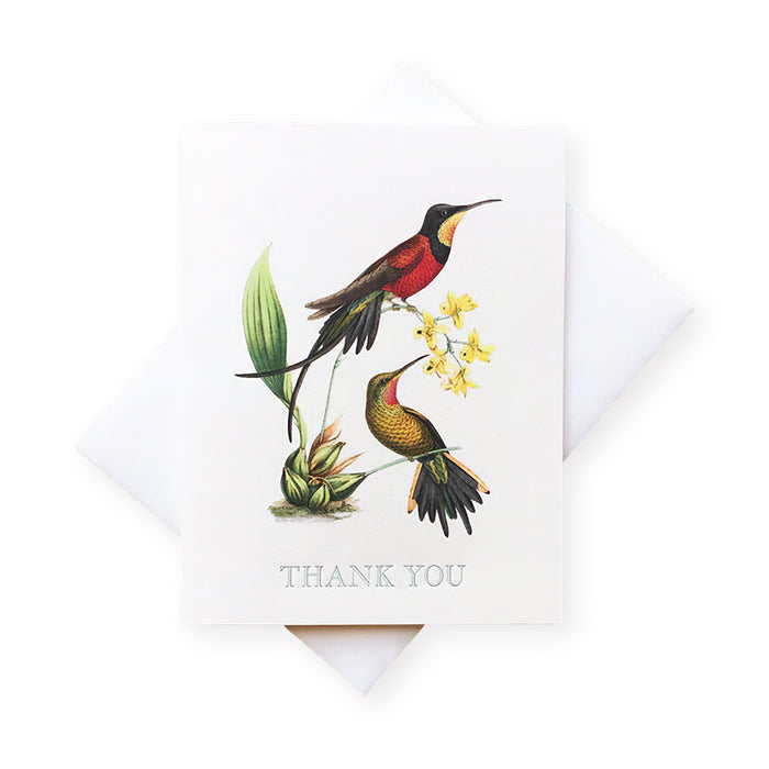 Greeting card with painting of two humming birds on a plant with yellow flowers