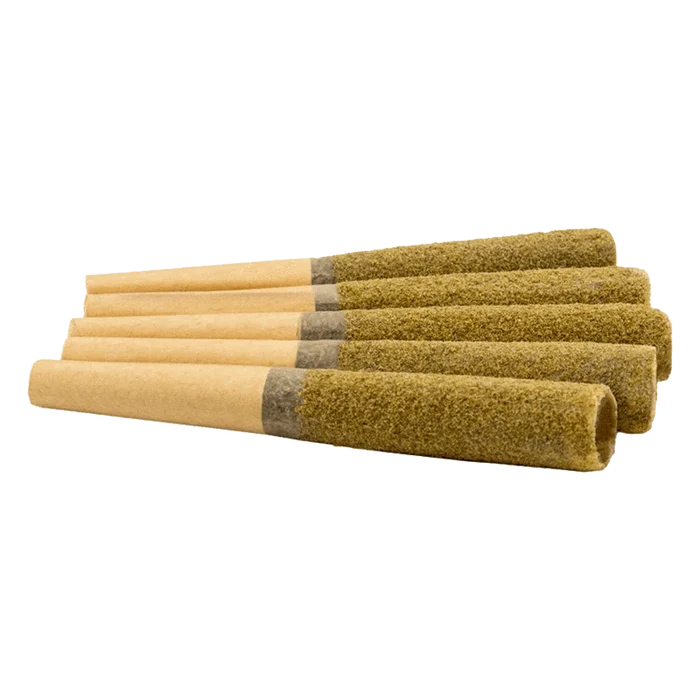 Low-angle close-up of six Papaya Punch Diamond Infused PR 5 x 0.5 g pre-rolls laid side by side showing textured greenish coating and brown papers.