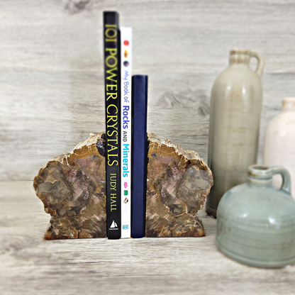 Petrified Wood Bookend Set
