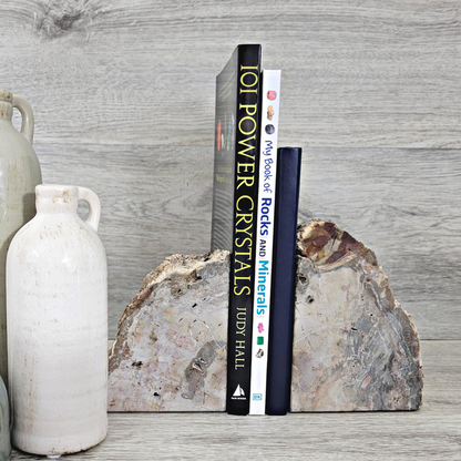 Petrified Wood Bookend Set