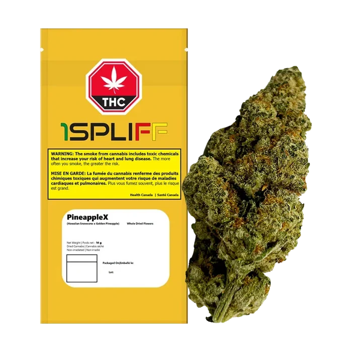 Studio-lit front view of the PineappleX packaging and a single dense green bud displayed side-by-side on a white background.