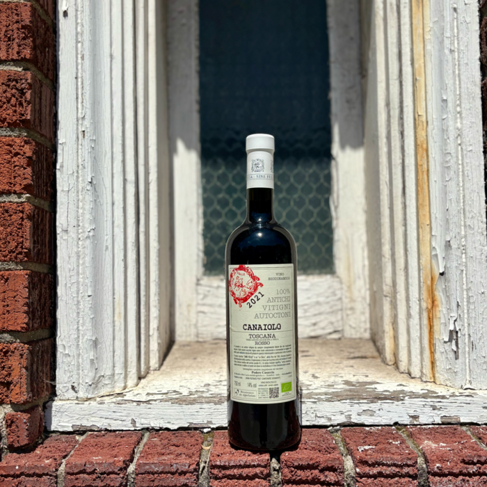 Canaiolo wine bottle standing between stone walls