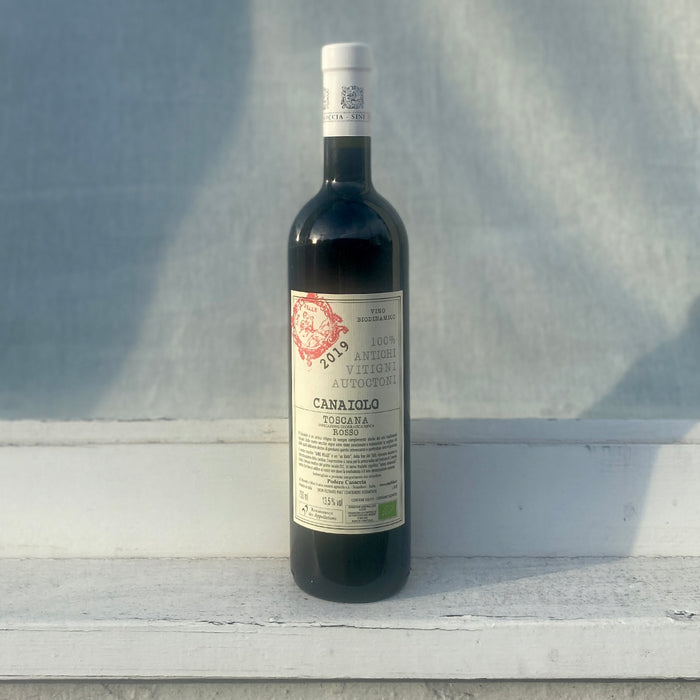 Canaiolo wine bottle standing upright against a light wall