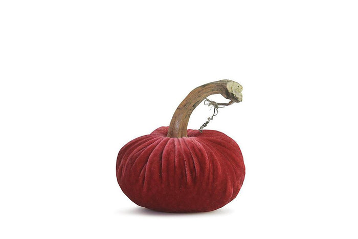 PP Coral Velvet Pumpkin