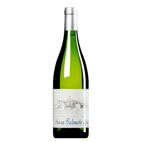 Sauvignon wine bottle with green glass and silver cap