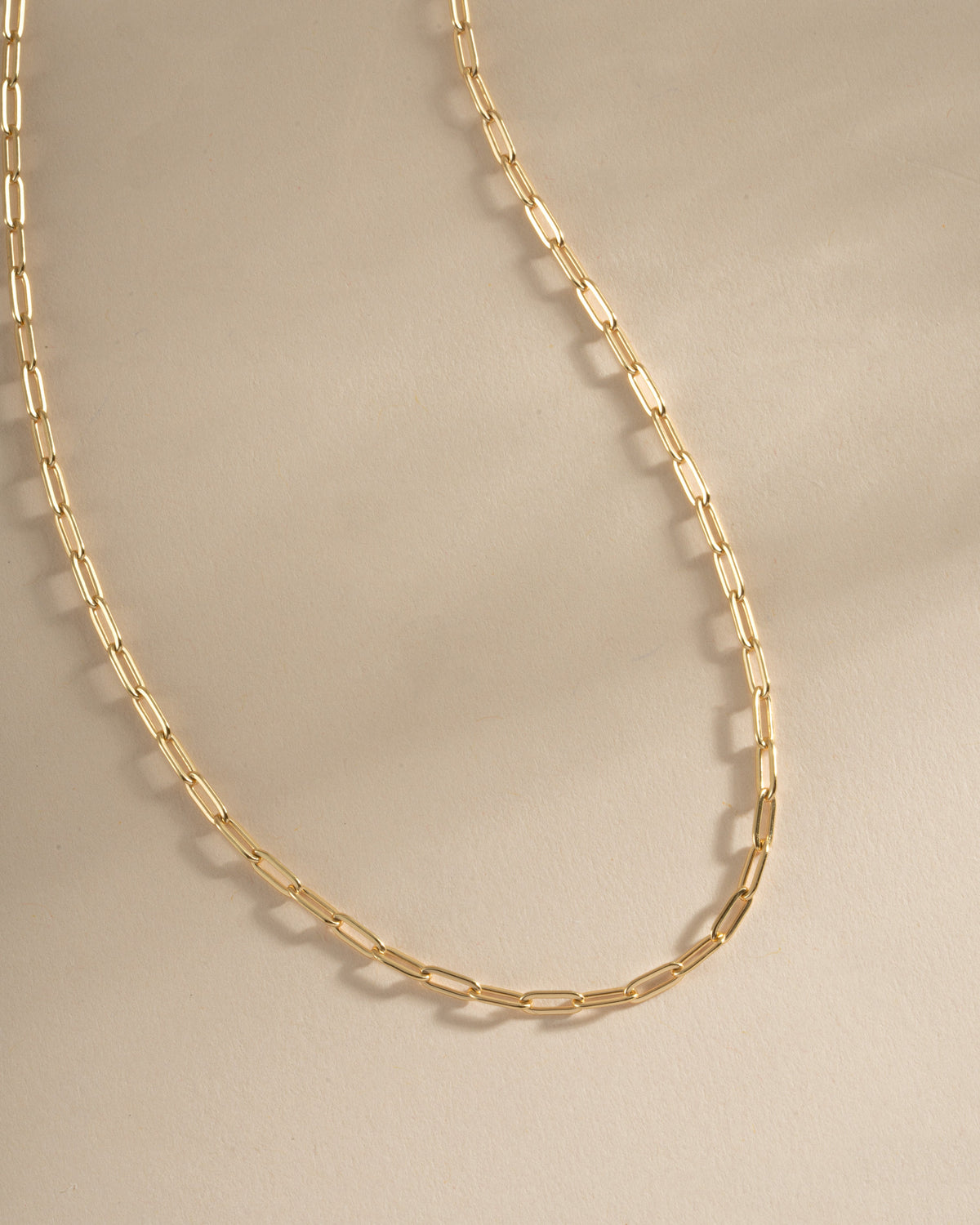 Small Paperclip Necklace