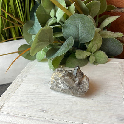 Smoky Quartz Specimen 2-3" (Small)