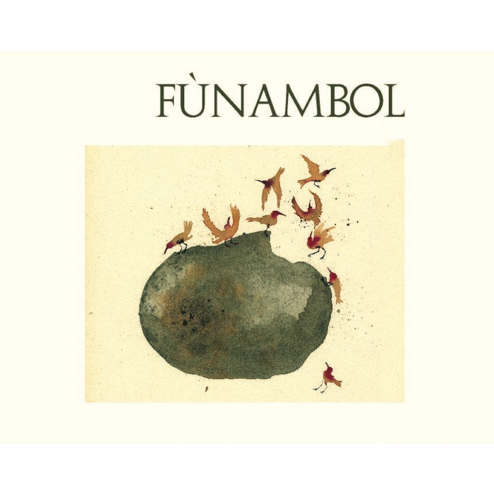 Funambol Bianco 2023 wine label with birds circling a green fruit