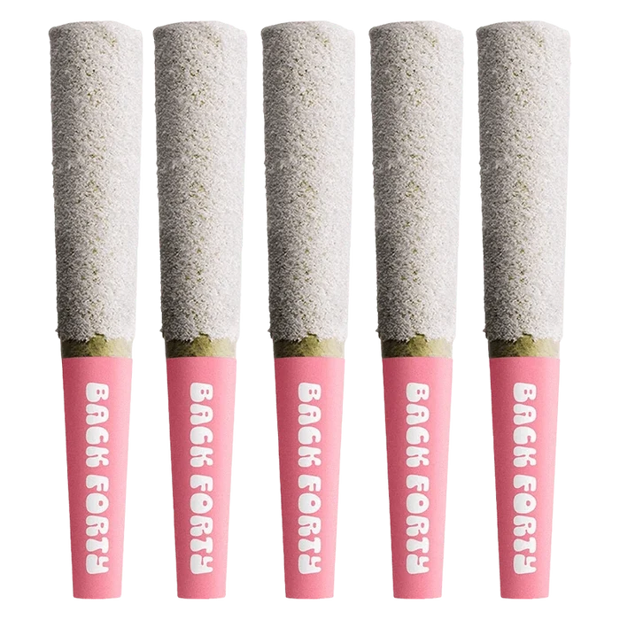 Row of five upright Strawberry Pink Infused PR 5 x 0.5 g pre-rolls with pink "Back Forty" tips against a white background.