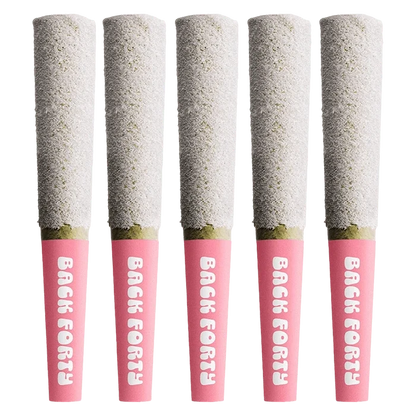 Row of five upright Strawberry Pink Infused PR 5 x 0.5 g pre-rolls with pink "Back Forty" tips against a white background.