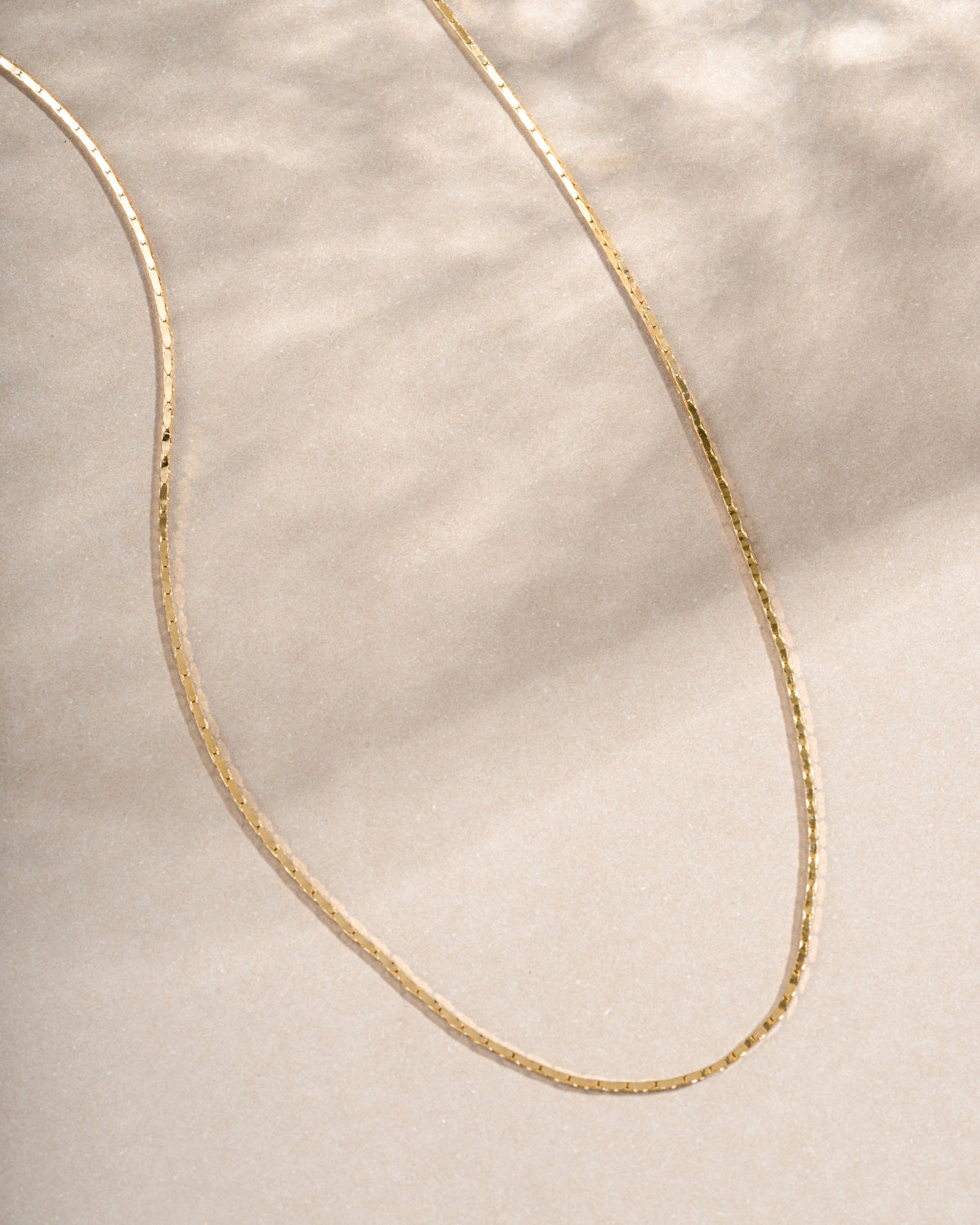 Thin Chain Necklace
