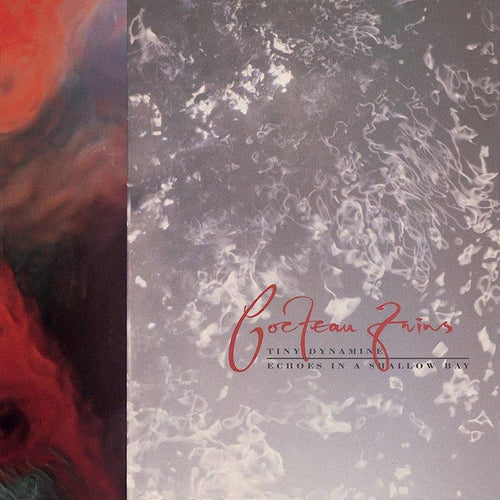 Tiny Dynamine & Echoes in a Shallow Bay