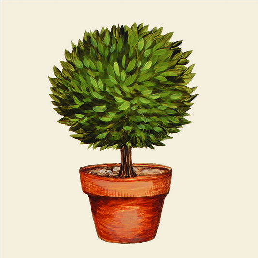 A square, white cocktail napkin featuring an illustrated topiary shrub, pruned into a single ball of green leaves, planted in a terra cotta pot.
