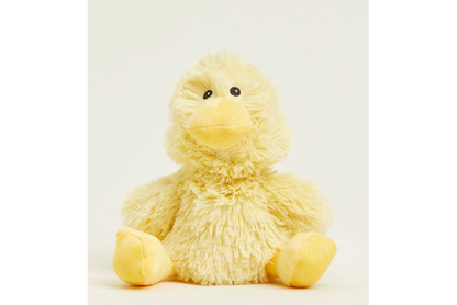 Duck Jr
