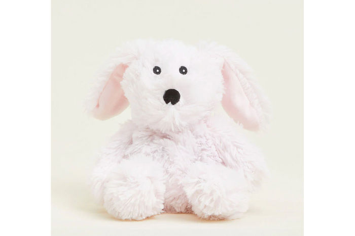 Bunny Junior