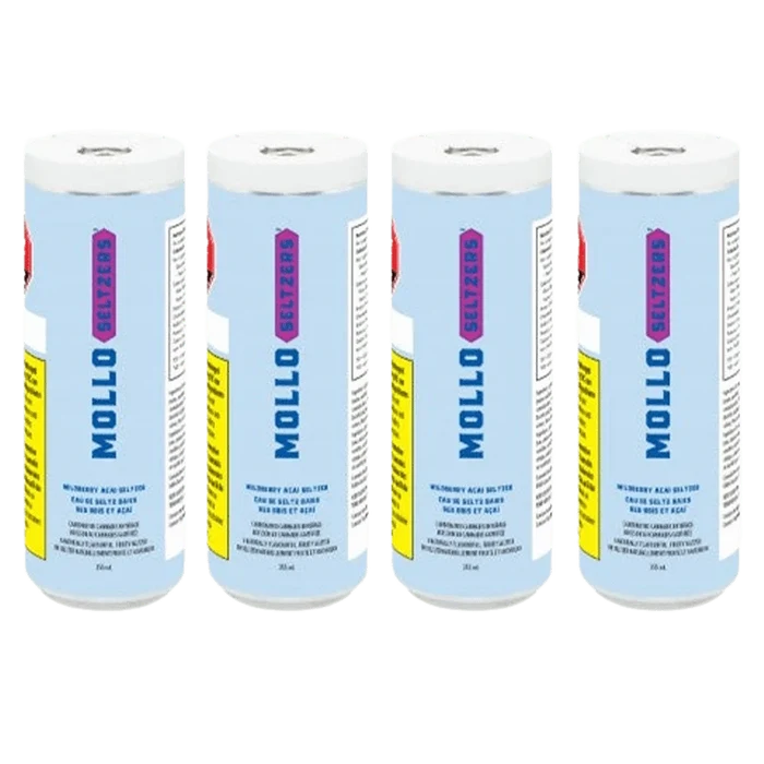 Row of four upright Wildberry Acai Seltzer Multi Pack cans with pale blue labels photographed front-on against a white background.
