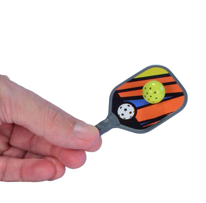 World's Smallest Pickleball Game